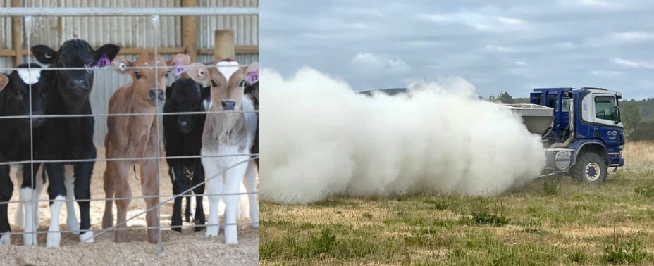 Two images side by side - of young calves looking through a wire fence; a truck on dry grass with billowing clouds behind it