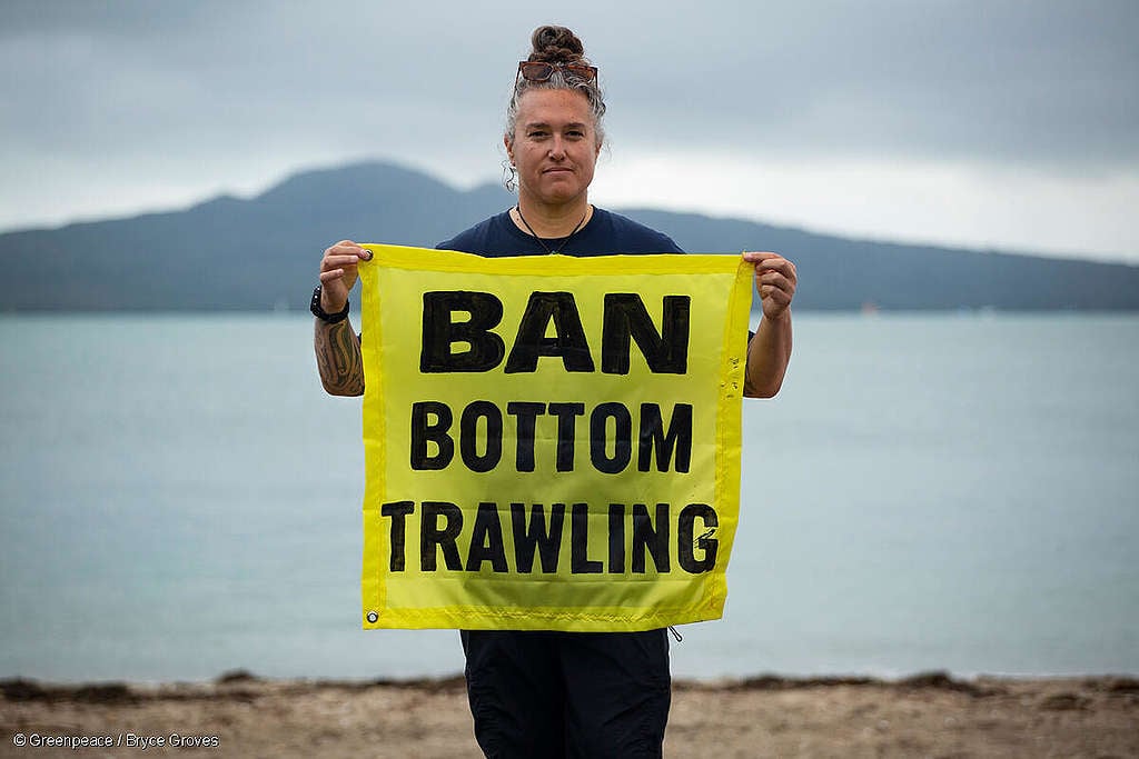 Forest & Bird campaigner Bianca Ranson holds a bright yellow banner saying Ban Bottom Trawling, with Rangitoto in the background