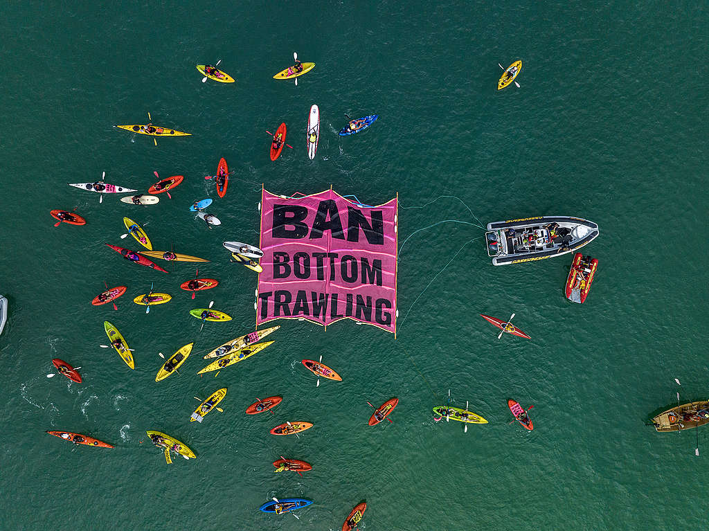 A flotilla of crafts surrounding a massive ‘ban bottom trawling’ banner has gathered just off Mission Bay in Auckland this morning in a show of mass opposition to bottom trawling in the Hauraki Gulf marine park.