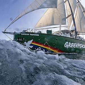 The Greenpeace ship MY Rainbow Warrior sailing in the Adriatic Sea in Italy.
La Rainbow Warrior nel Mar Adriatico.