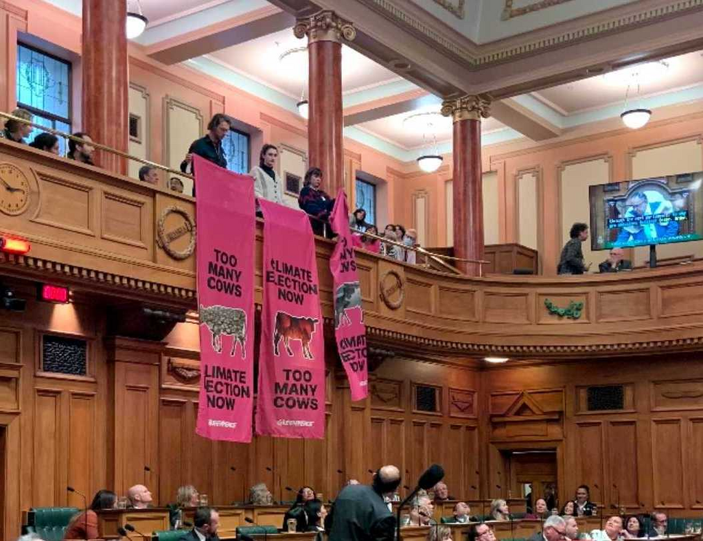 Greenpeace New Zealand activists unfurl banners reading "Too Many Cows" and "Climate Election Now" during the last day of Parliament in Wellington, New Zealand.