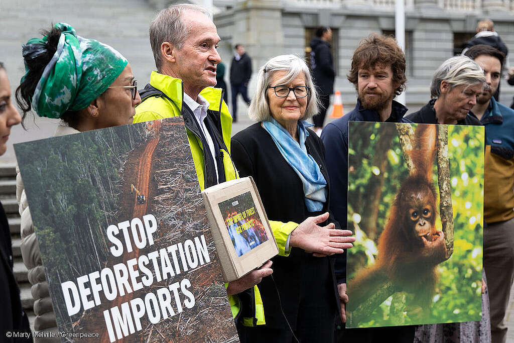 A Greenpeace petition signed by nearly 16,000 people was delivered to Parliament calling for the New Zealand government to stop the import of products that are linked to forest destruction and human rights abuses. Greenpeace International forest campaigner, Grant Rosoman presented the petition to Green Party MP Eugenie Sage, along with Greenpeace activists holding large colourful photographic depictions of the forests in question and the harm that’s being done to them.