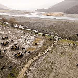 State of New Zealand’s waters worsening as Luxon barges ahead with reckless plan to strip freshwater protections