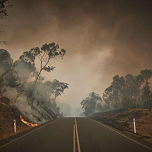 Fire burns both sides of the highway on the outskirts of the small town of Tumbarumba in the Snowy Mountains, NSW. Australia has seen unprecedented bushfires after 2019 was recorded as both the hottest and driest year on record.