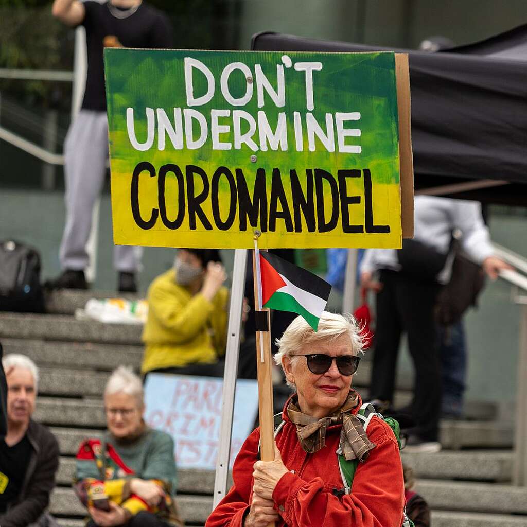 Placards from the March for Nature - Fast track fossil's out - Don't undermine coromandel
