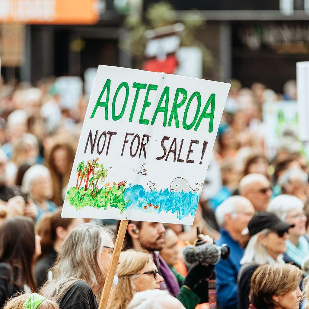 Placards from the March for Nature - Aotearoa Not for Sale