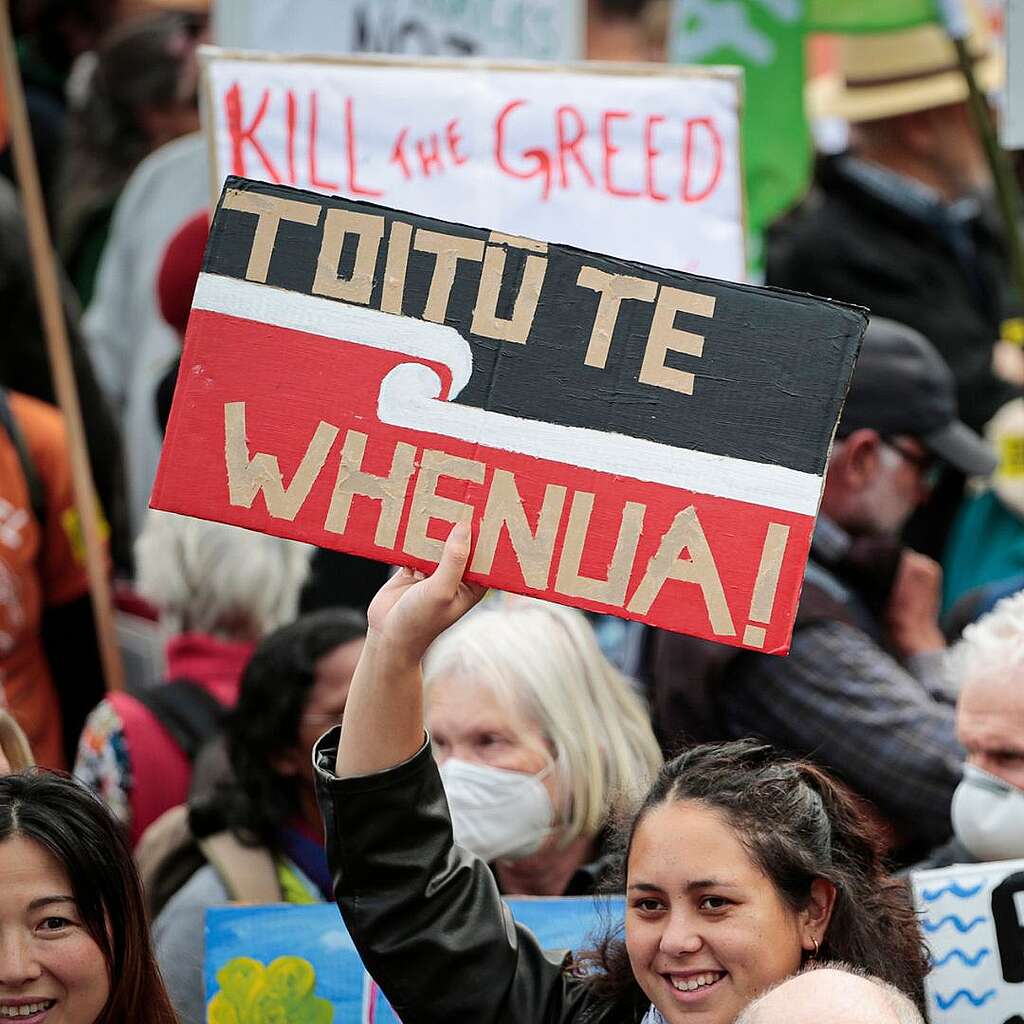 Placards from the March for Nature - Toitu te whenua