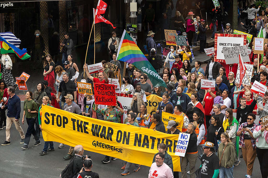 A crowd of people march down the street, holding placards. A large yellow banner is held by people at the front, reading "Stop the War on Nature"