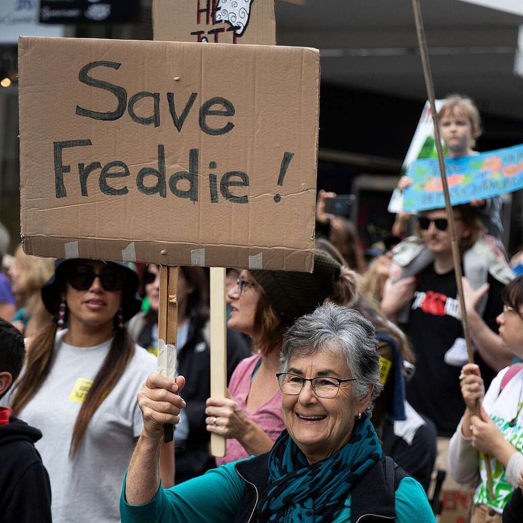 Placards from the March for Nature - Save Freddie