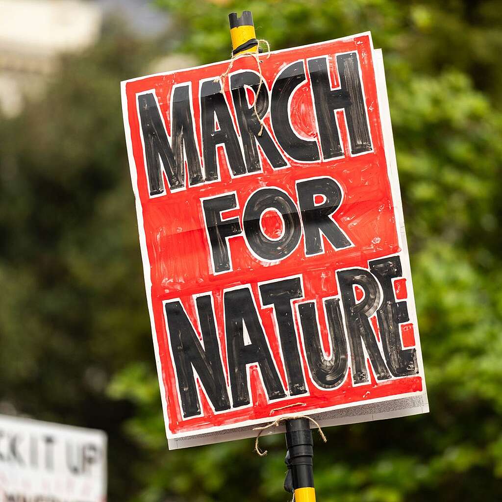 Placards from the March for Nature - march for Nature