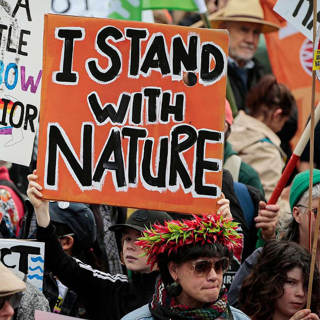 Placards from the March for Nature - I stand with nature