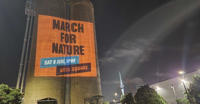 March for Nature projection in Auckland