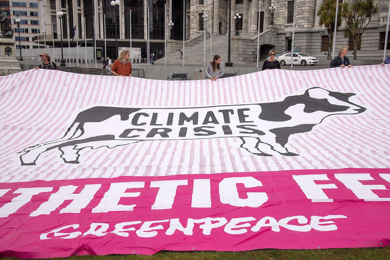 A large pink banner on Parliament steps. An illustration of a cow has the words CLIMATE CRISIS