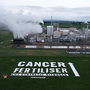 On 11 July 2022 Greenpeace Aotearoa confronted the fertiliser industry with a 1500 sq metre banner outside the Kapuni fertiliser factory in South Taranaki. The message highlights the link between synthetic nitrogen fertiliser and the cancer risk of nitrate-contaminated drinking water, and calls on the government to cut synthetic nitrogen.

The banner reads: CANCER FERTILISER - CUT SYNTHETIC NITROGEN. The largest letters are over three stories high. An arrow directs the message at the billowing stacks of the fertiliser factory.