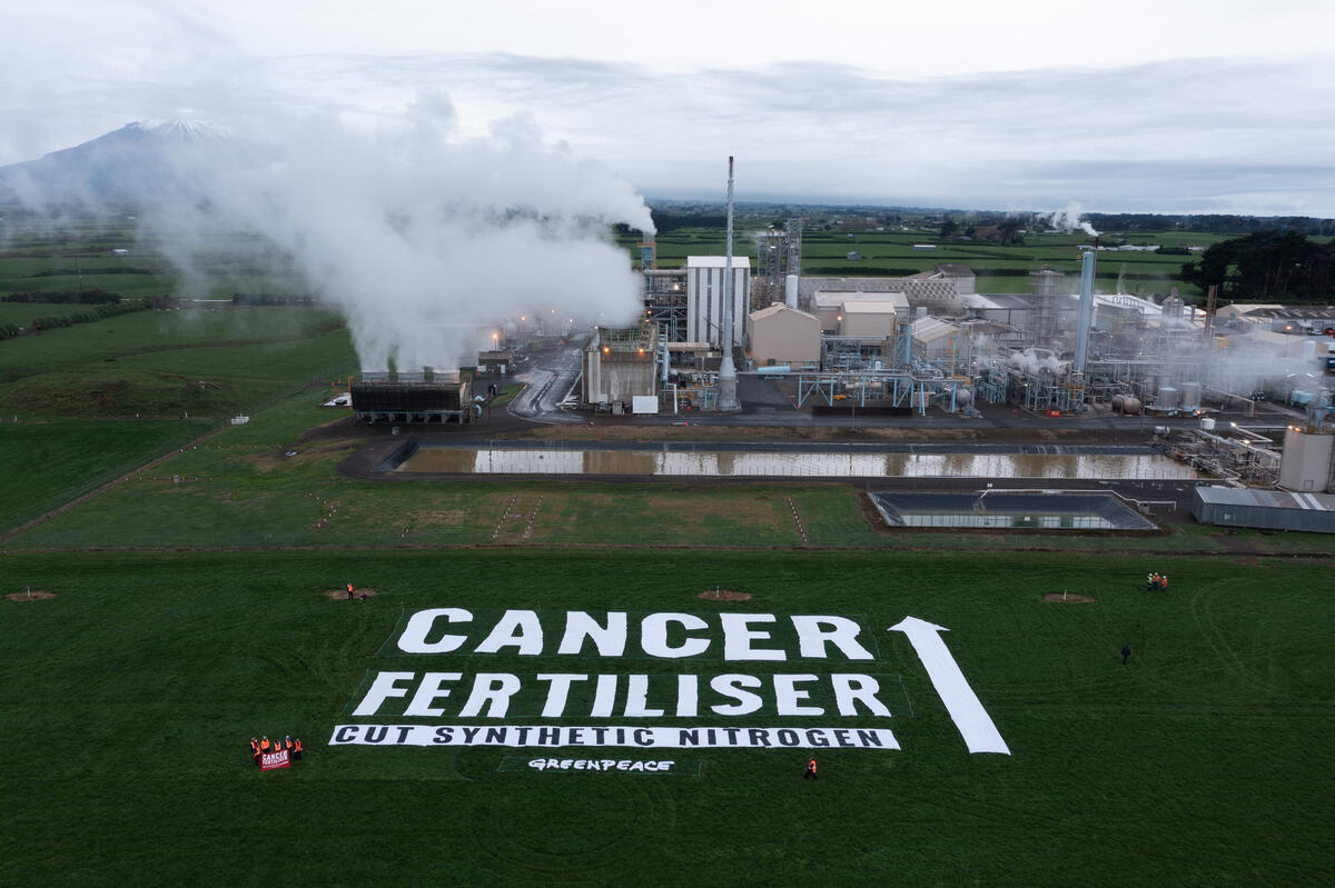 A giant Cancer Fertiliser Banner outside the Kapuni fertiliser factory in South Taranaki, New Zealand. The banner reads: CANCER FERTILISER - CUT SYNTHETIC NITROGEN. © Greenpeace / Ben Sarten