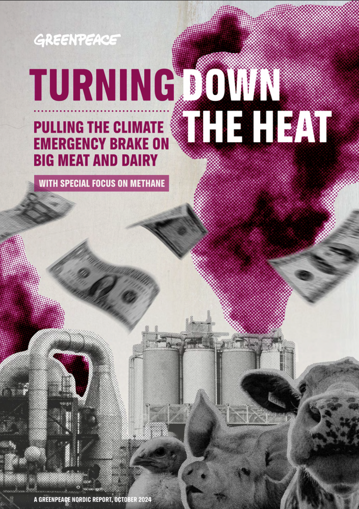 Turning Down the Heat Report