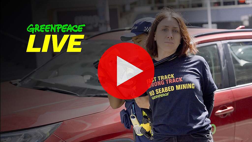 Greenpeace live
An activist is arrested wearing a t-shirt that reads: Fast Track Wrong Track - No Seabed Mining - Greenpeace 