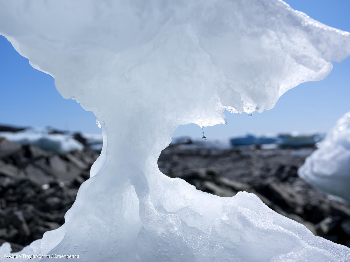 Derretimiento del hielo en la base de investigación argentina Esperanza, donde, según se informa, el 6 de febrero de 2020 se registró la temperatura más alta jamás registrada en la Antártida, con un termómetro de la estación que marcaba 18,3 °C.