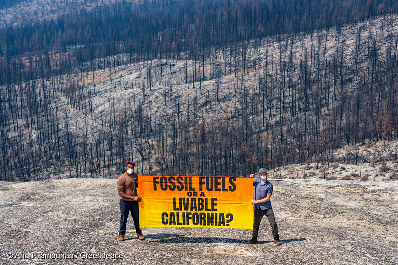 Activistas de Greenpeace en California. En el cartel se lee: “¿Combustibles fósiles o una California vivible?" con los bosques incendiados de fondo.