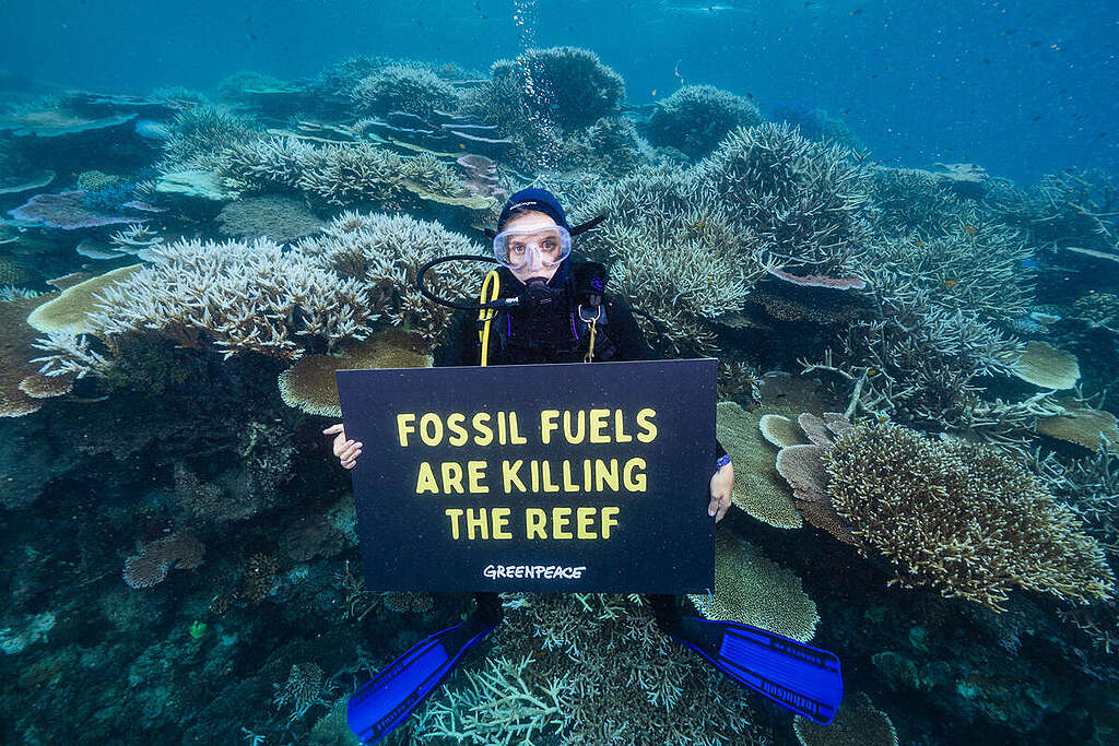 Activista bajo el océano con un cartel "Los combustibles fósiles están matando al arrecife".
