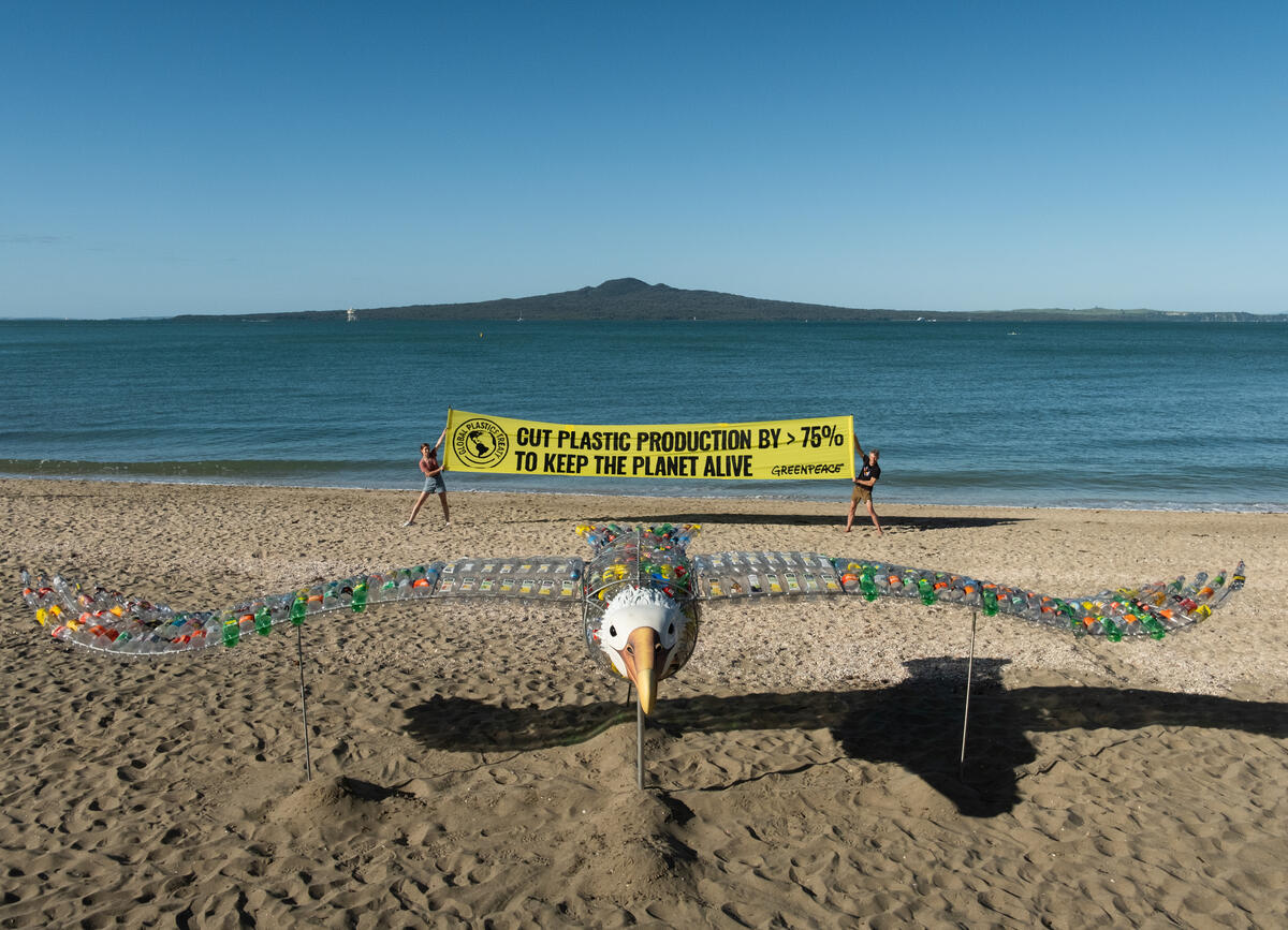 Giant Albatross Installation Calls for Cut in Plastic Production in Auckland. © Ben Sarten / Greenpeace