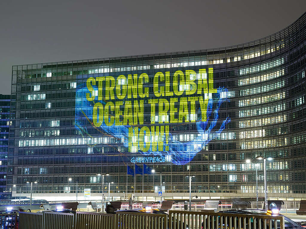 Projection Calling for Ocean Protection in Brussels. © Greenpeace