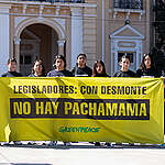 Activistas de Greenpeace y organizaciones sociales protestaron frente a la legislatura salteña contra el proyecto de actualización del Ordenamiento Territorial de Bosques.