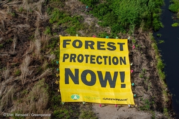 Actie voor de bescherming van de bossen