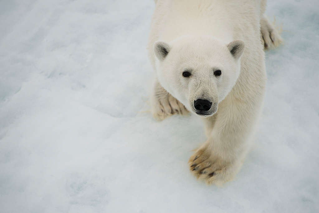 Steun onze strijd tegen de klimaatcrisis