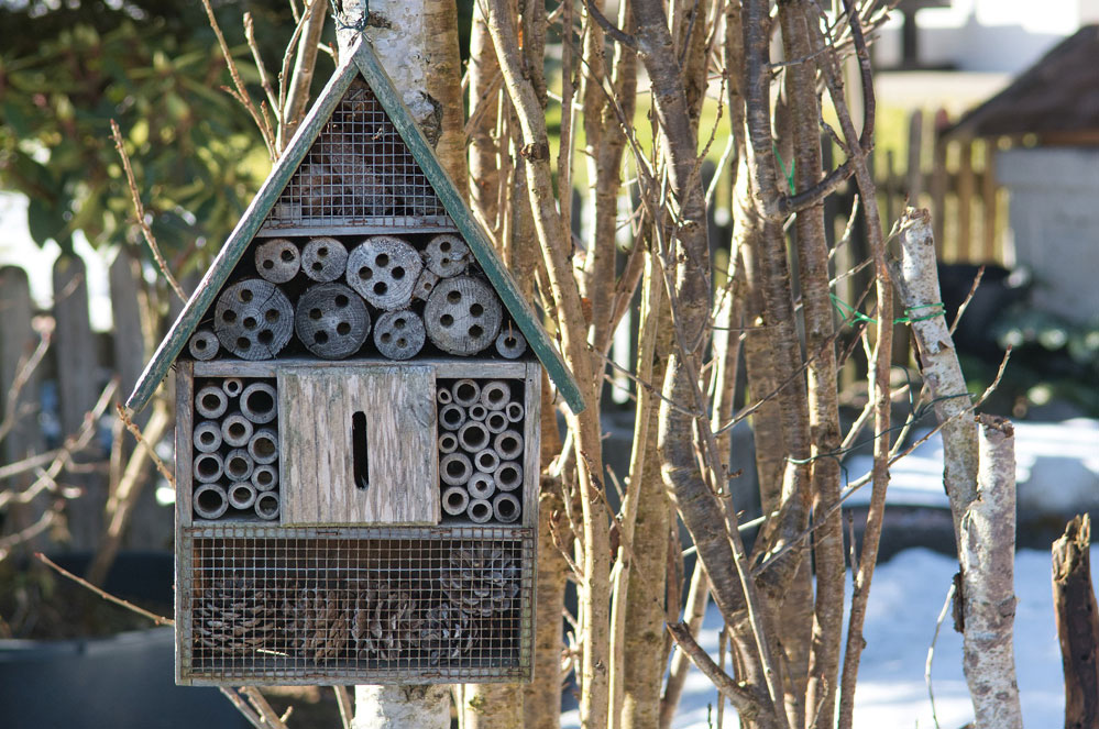 Activité DIY : je construis un hôtel à abeilles !