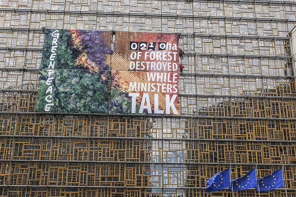 Activists install live deforestation counter on EU Council building while ministers meet