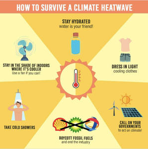 Il fait chaud! Comment rafraîchir votre maison sans clim ? - Greenpeace  Belgique