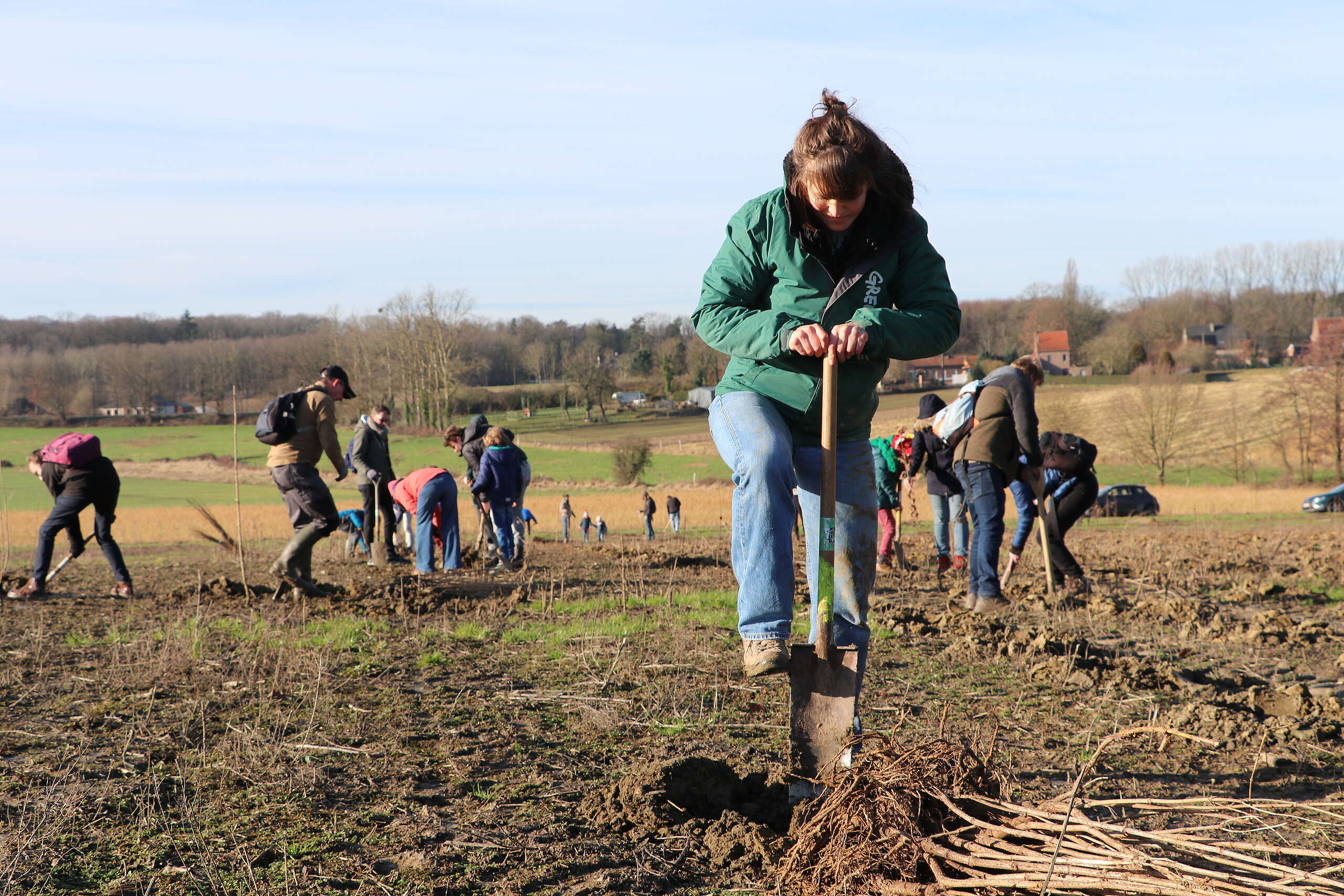 Greenpeace members plant 3000 trees in Lubbeek ©Greenpeace Belgium
