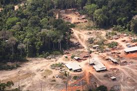 Vista aérea de extração ilegal de madeira no Pará.