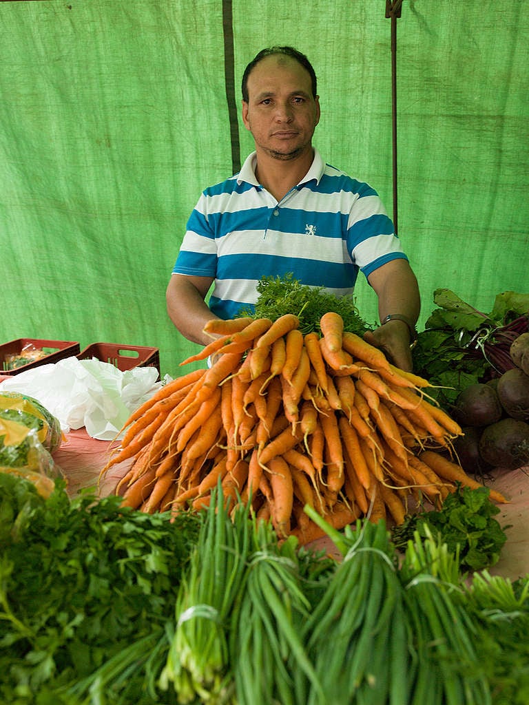 Homem mostra cenoura agroecológica.