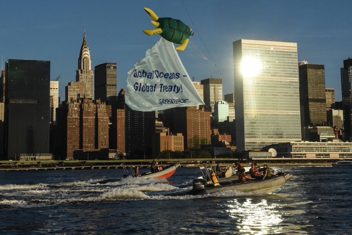 Em bote, ativistas levam uma pipa em formato de tartatuga-marinha para a frente da sede da ONU