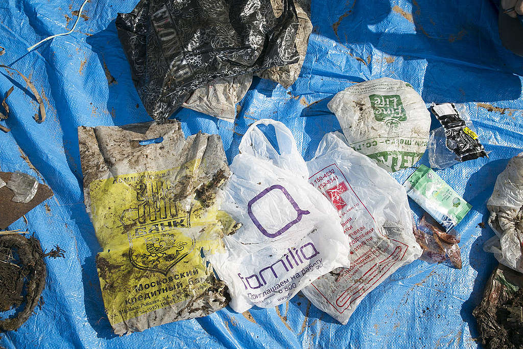 Sacolinhas plásticas encontradas na praia.