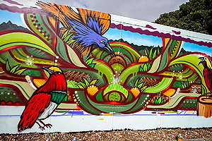 Mural com o desenho de várias aves coloridas na Nova Zelândia.
