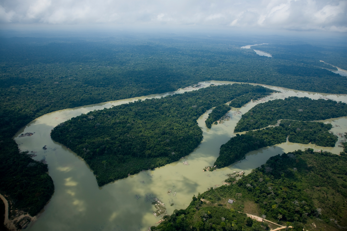 Vista aérea da floresta amazônia © Daniel Beltrá