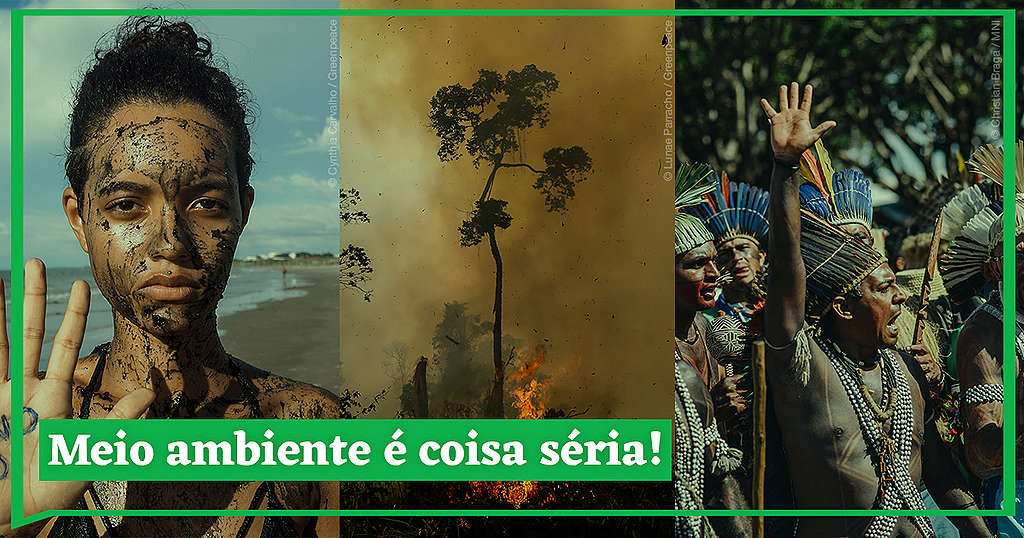 Todos juntos em defesa do meio ambiente - Greenpeace Brasil