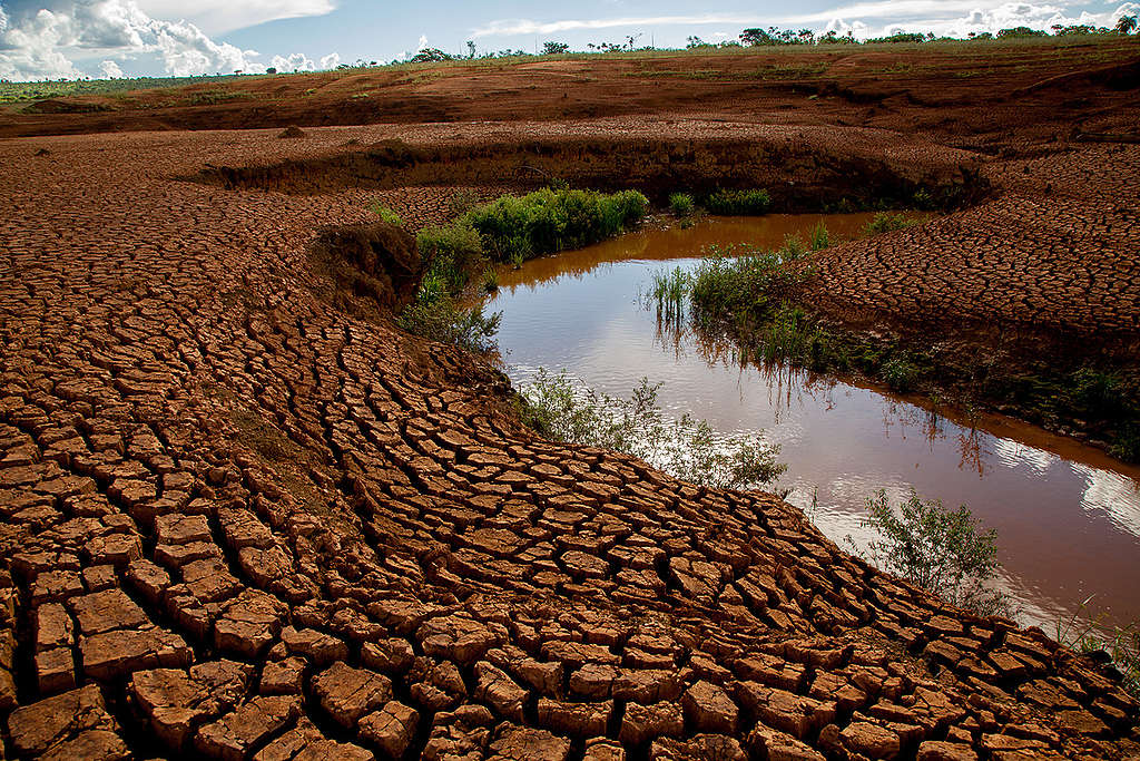 Rio secando em terra árida no Brasil © Gabriel Lindoso