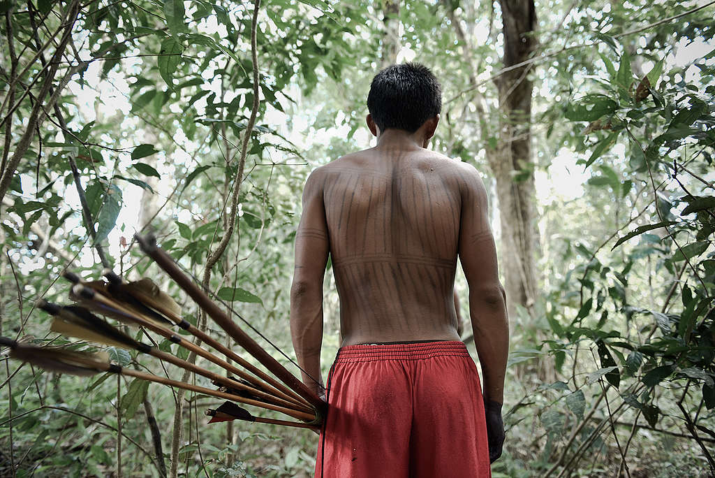Munduruku em floresta, próximo do lago Leonardo, na Amazônia © Anderson Barbosa / Greenpeace