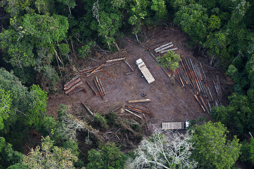 Desmatamento ilegal próximo a Santarém, no Pará