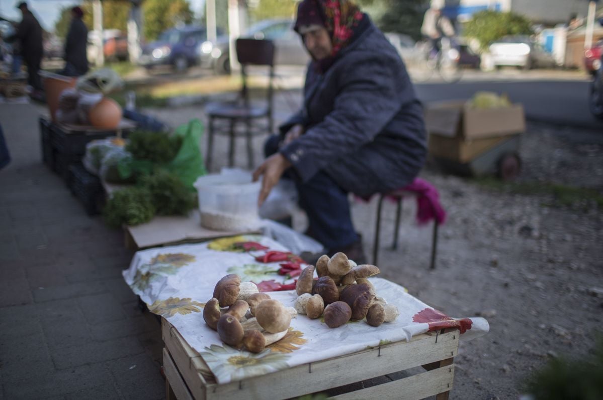 Moradores de Novozybkov, na Rússia, vendendo produtos locais. © Denis Sinyakov / Greenpeace