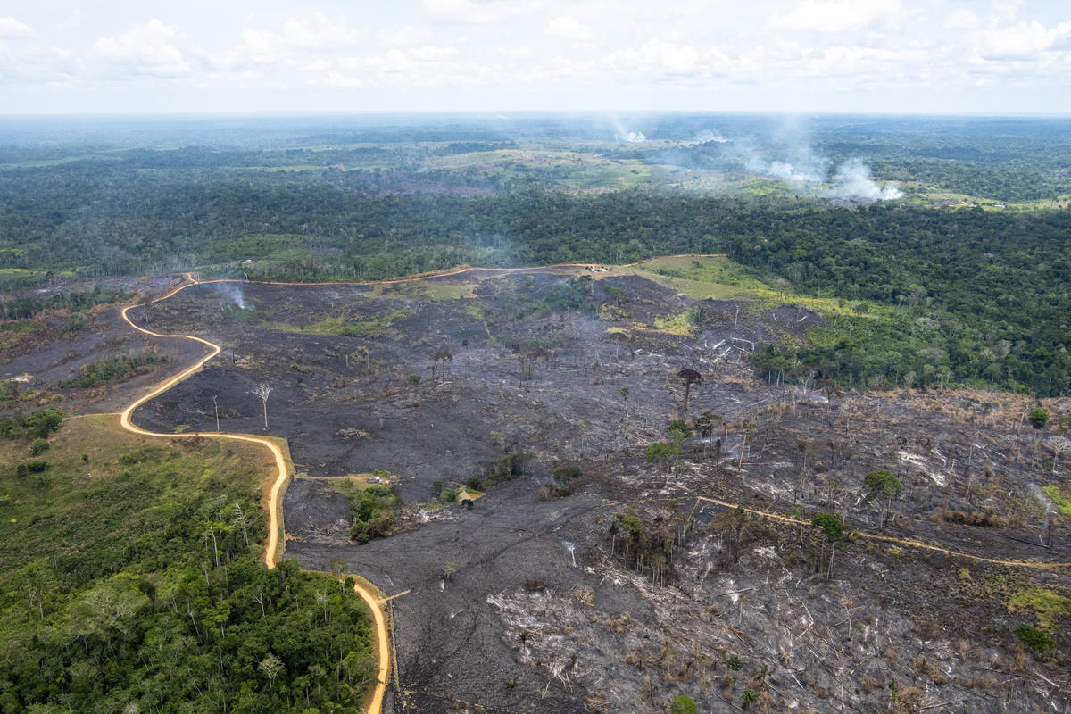 Incêndio Floresta na Amazônia 2018. © Daniel Beltrá / Greenpeace