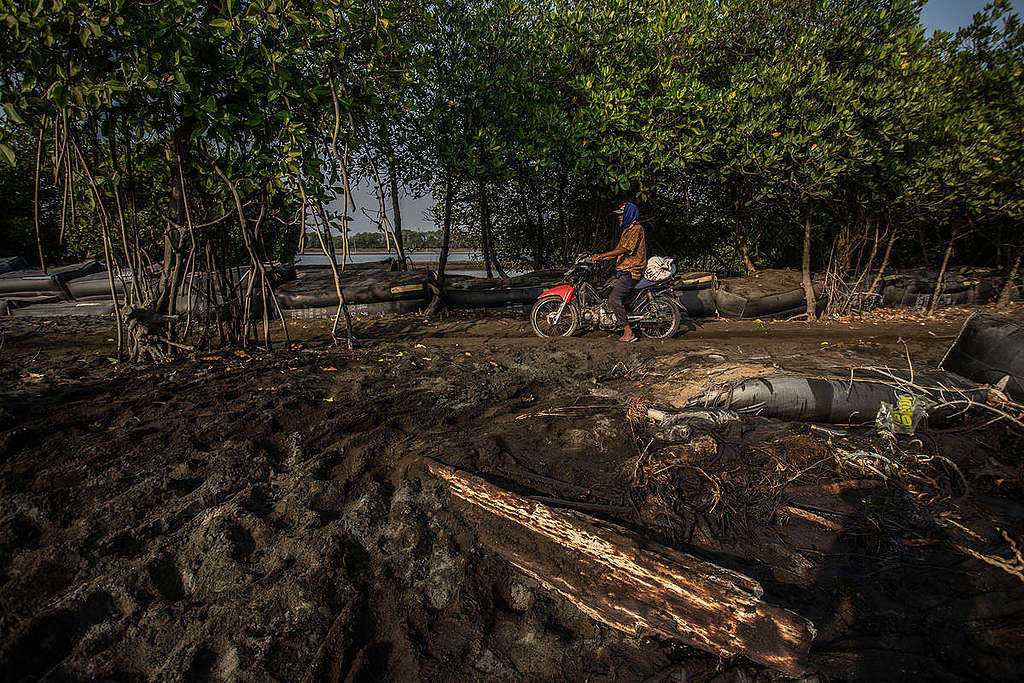 Oil Spill in Karawang, West Java. © Jurnasyanto Sukarno / Greenpeace