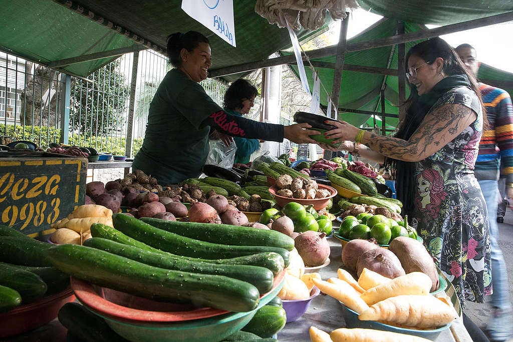 mulher compra frutas e legumes de uma mulher feirante