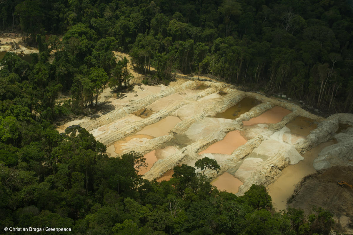 Fotos mostram floresta destruída pelo garimpo, com lama por toda a parte, máquinas trabalhando, rio poluído e árvores destruídas.