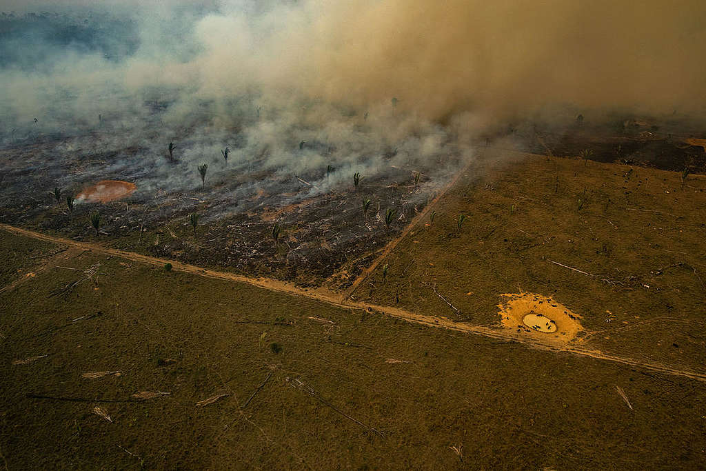 Vista aérea de áreas queimadas e focos de incêndio na Amazônia, na cidade de Porto Velho, Rondônia. 