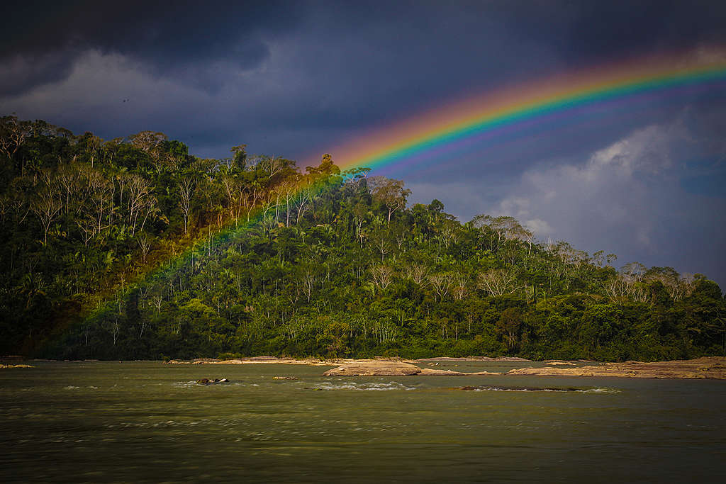 arco-íris na amazonia